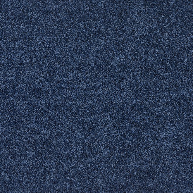 Pet Shaggy Rug | Midnight Blue Howler & Scratch | Pet Mats UK Mainland Free Shipping