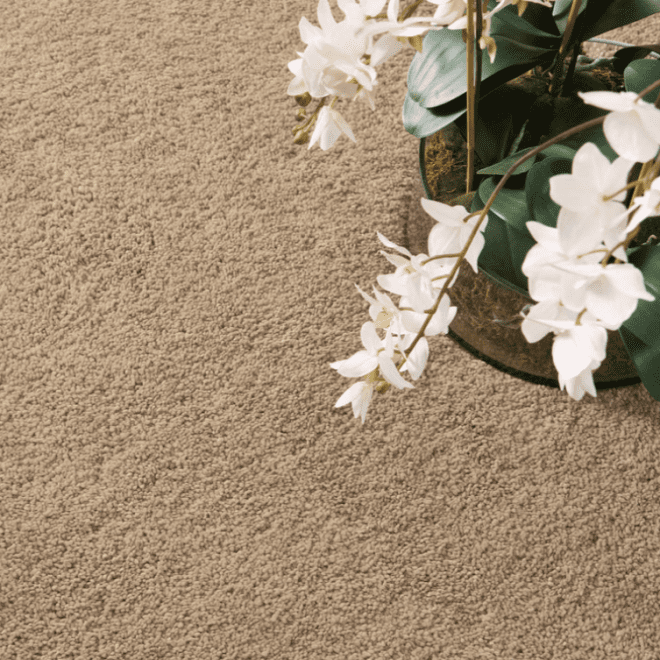 Lux Stone | Shagpile Rug Shagpile Rugs UK Mainland Free Shipping