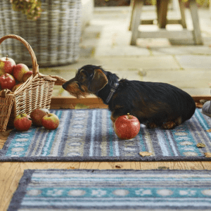Pet 80 | Paw Stripes Washable Doormat Doormats | Runners UK Mainland Free Shipping