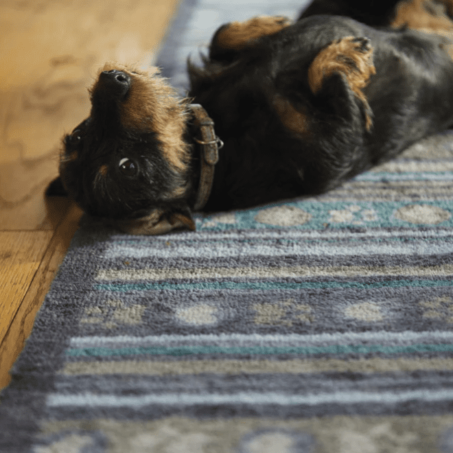 Pet 80 | Paw Stripes Washable Doormat Doormats | Runners UK Mainland Free Shipping