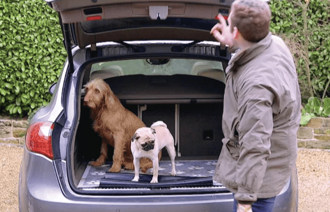 Big Paw 2 | Car Boot Protector Howler & Scratch | Pet Mats UK Mainland Free Shipping