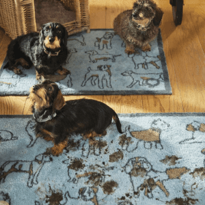 Pet 75 | Doormat Doormats | Runners UK Mainland Free Shipping