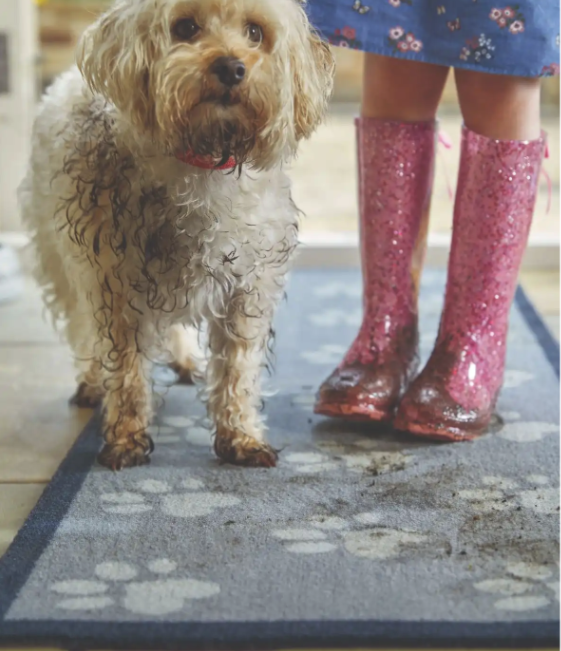 Howler & Scratch | Big Paw 1 Howler & Scratch | Pet Mats UK Mainland Free Shipping