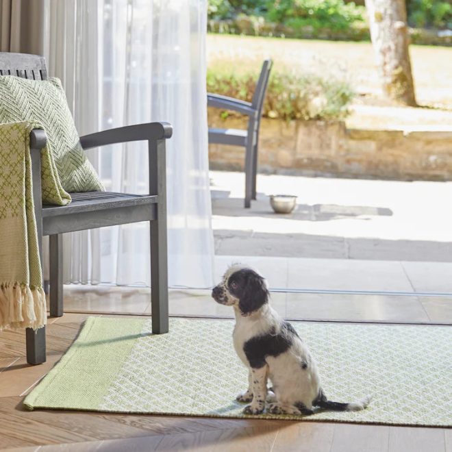 Trellis | Green Eco-Washable Rugs UK Mainland Free Shipping