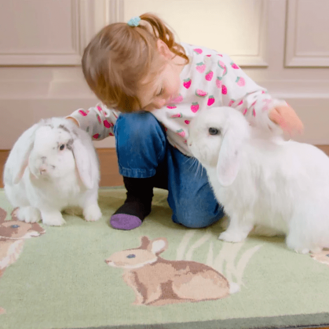Rabbit | Doormat & Runner Doormats | Runners UK Mainland Free Shipping