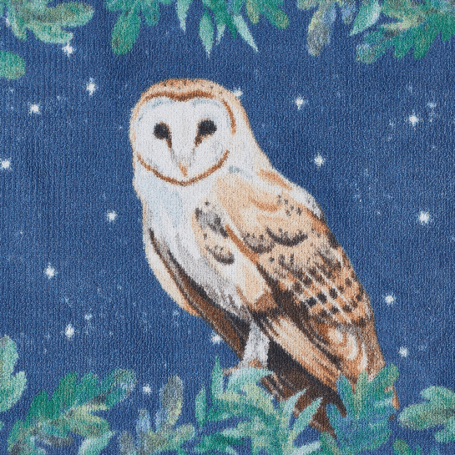 Owl 1 | Doormat Doormats | Runners UK Mainland Free Shipping